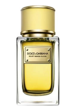 Dolce Gabbana (D&G) Velvet Mimosa Bloom