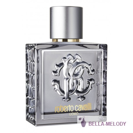 Roberto Cavalli Uomo Silver Essence 11