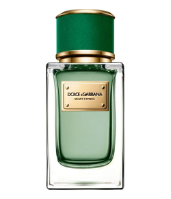 Dolce Gabbana (D&G) Velvet Cypress
