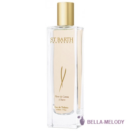 Ligne St Barth Fleur De Canne A Sucre 11