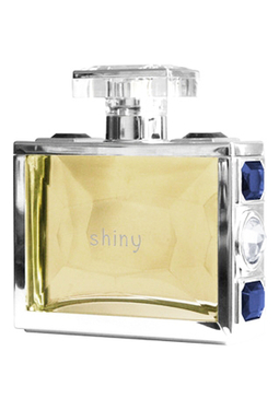 Giorgio Monti Shiny men