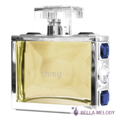 Giorgio Monti Shiny men 11