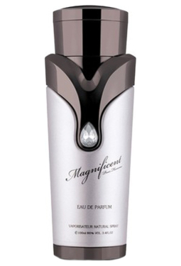 Armaf Magnificent Pour Homme