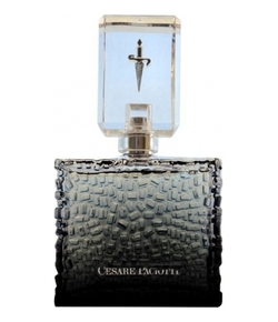 Cesare Paciotti For Him