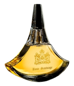 Antonio Visconti Rose Sauvage