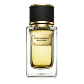 Dolce Gabbana (D&G) Velvet Patchouli