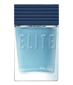 Van Gils Elite