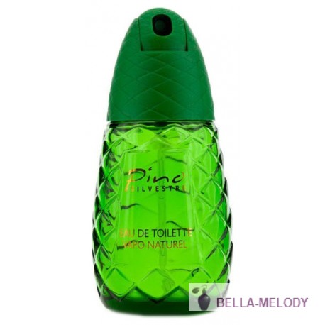 Pino Silvestre Original 11