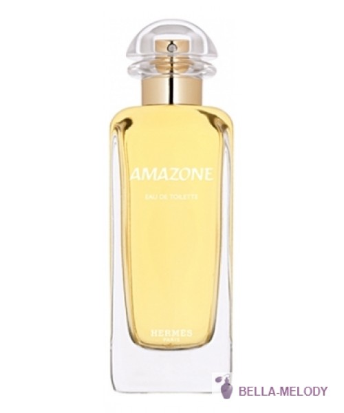 Hermes Amazone