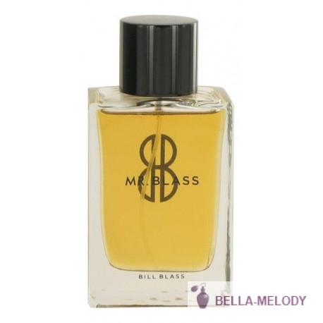 Bill Blass Mr Blass 11