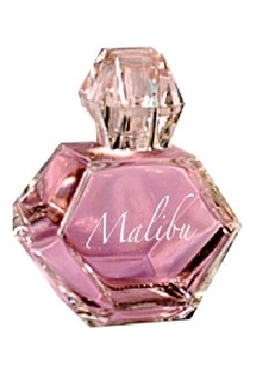 Pamela Anderson Malibu Night