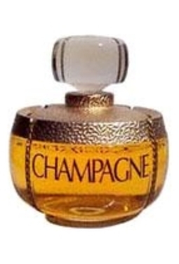 YSL Champagne