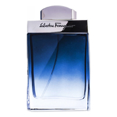 Salvatore Ferragamo Subtil Pour Homme