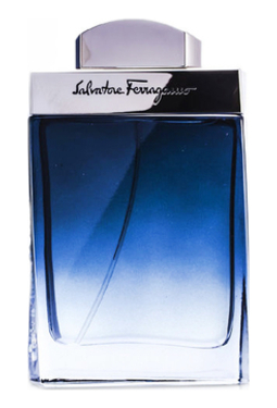 Salvatore Ferragamo Subtil Pour Homme