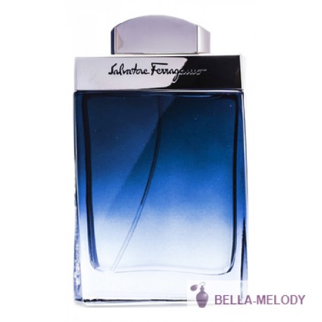 Salvatore Ferragamo Subtil Pour Homme 11