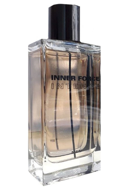 Glenn Perri Inner Force Intense
