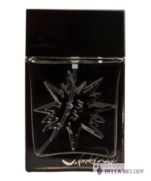 Salvador Dali Black Sun