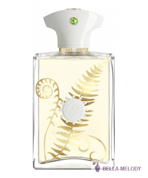 Amouage Bracken For Men