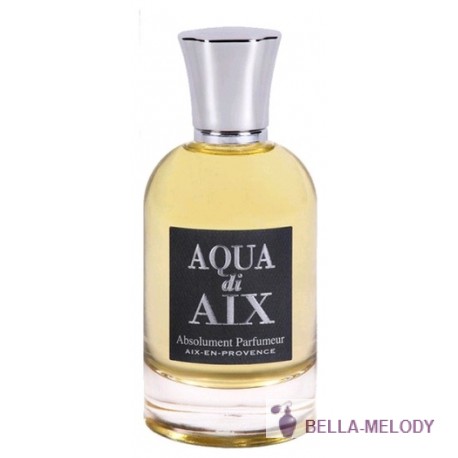 Absolument Aqua di Aix 11