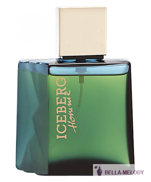 Iceberg Homme