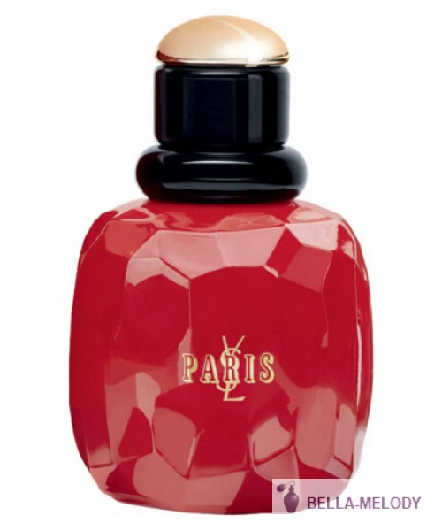 YSL Paris Rebel Collector 2015