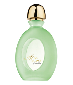 Loewe Aire Evasion