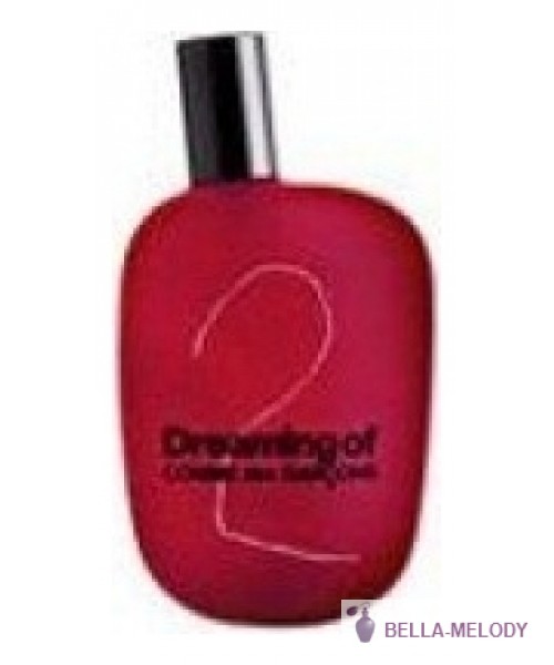 Comme Des Garcons 2 Dreaming Of