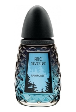 Pino Silvestre Rainforest