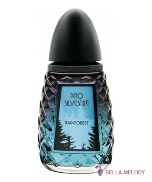 Pino Silvestre Rainforest