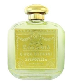 Santa Maria Novella Violette