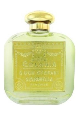 Santa Maria Novella Violette