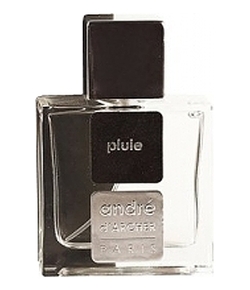 Andre d'Archer Pluie