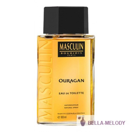 Bourjois Masculin Ouragan Винтаж 11
