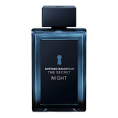 Antonio Banderas The Secret Night