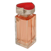 YSL Vice Versa
