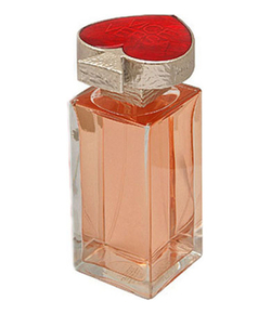 YSL Vice Versa