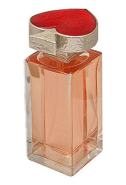 YSL Vice Versa