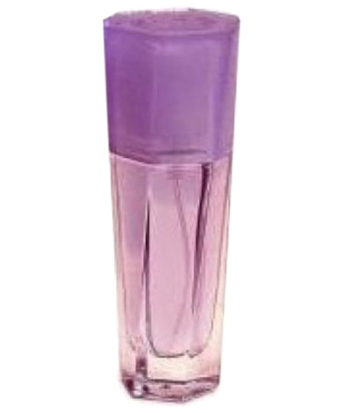 Coty Masumi Toujours