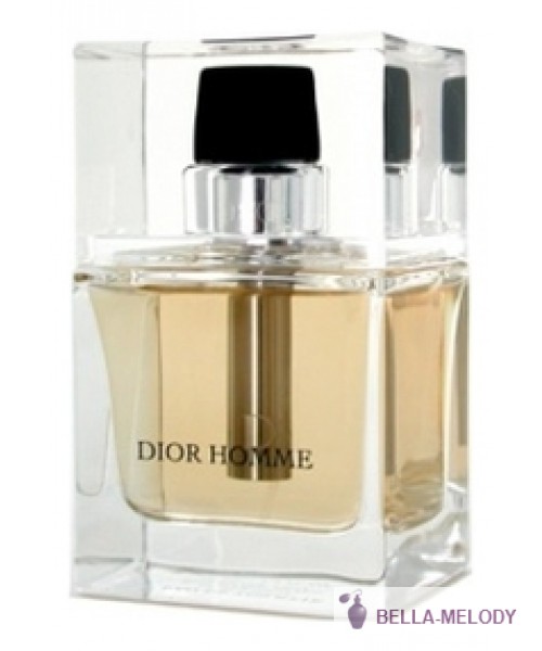 Christian Dior Homme