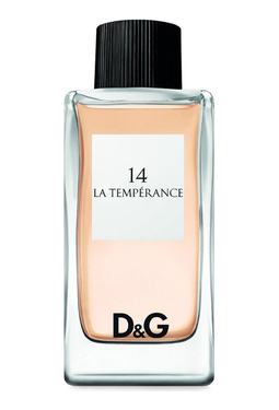 Dolce Gabbana (D&G) 14 La Temperance