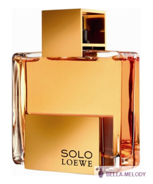 Loewe Solo Absoluto