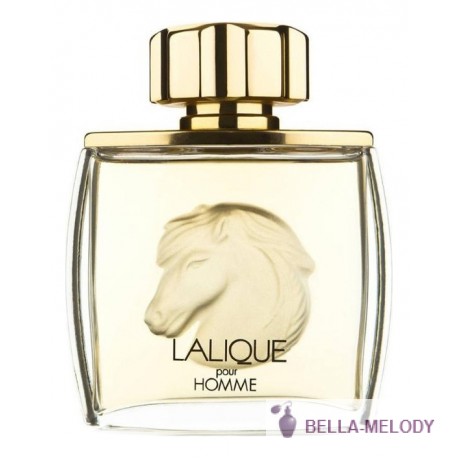 Lalique Pour Homme Equus 11