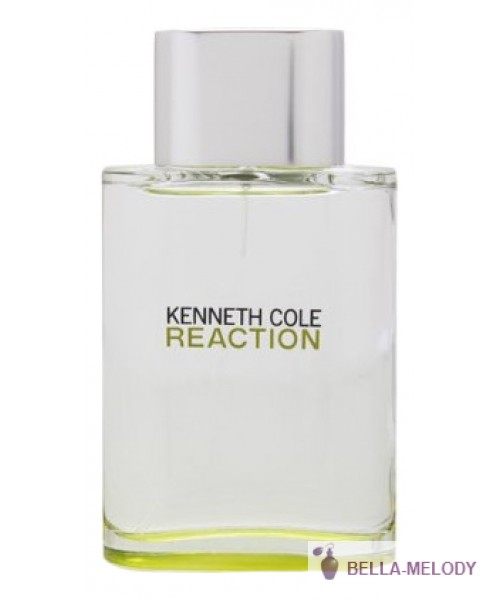 Kenneth Cole Reaction For Men