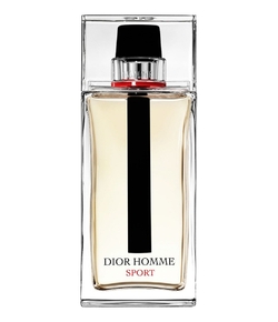 Christian Dior Homme Sport 2017