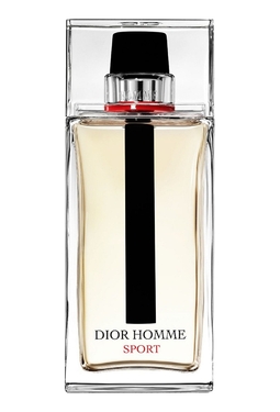Christian Dior Homme Sport 2017