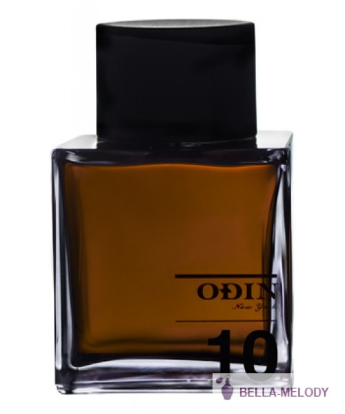 Odin 10 Roam