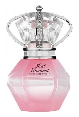One Direction That Moment