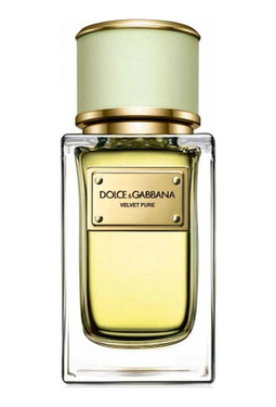 Dolce Gabbana (D&G) Velvet Pure