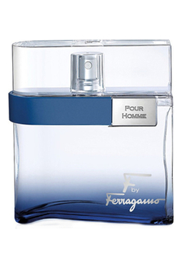 Salvatore Ferragamo F by Ferragamo Free Time