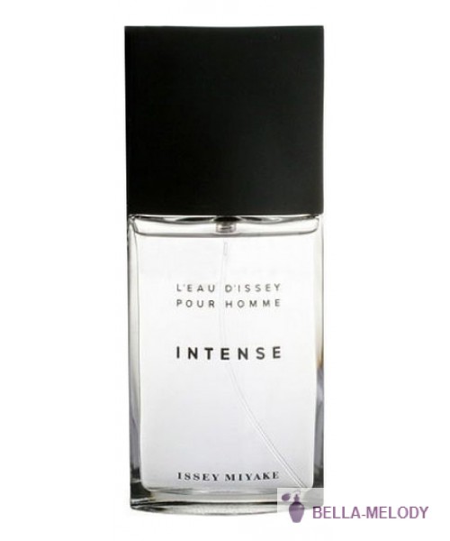 Issey Miyake L'Eau D'Issey Intense Pour Homme